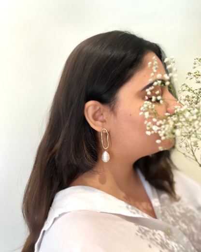 The Fireflies Fables