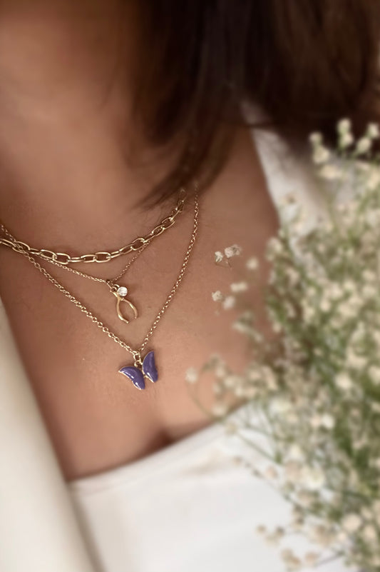 The Social Butterfly